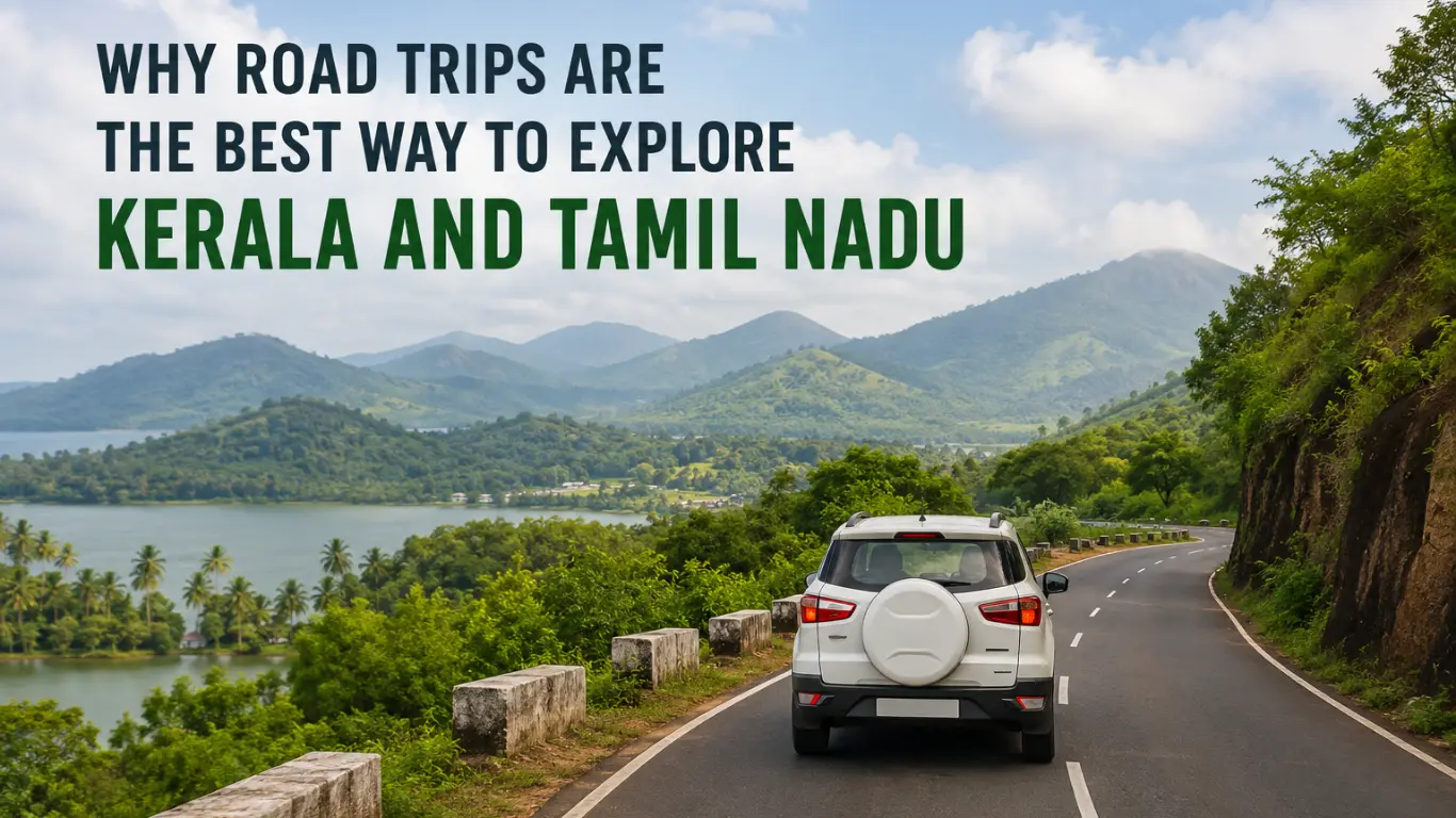 Why Road Trips Are the Best Way to Explore Kerala and Tamil Nadu