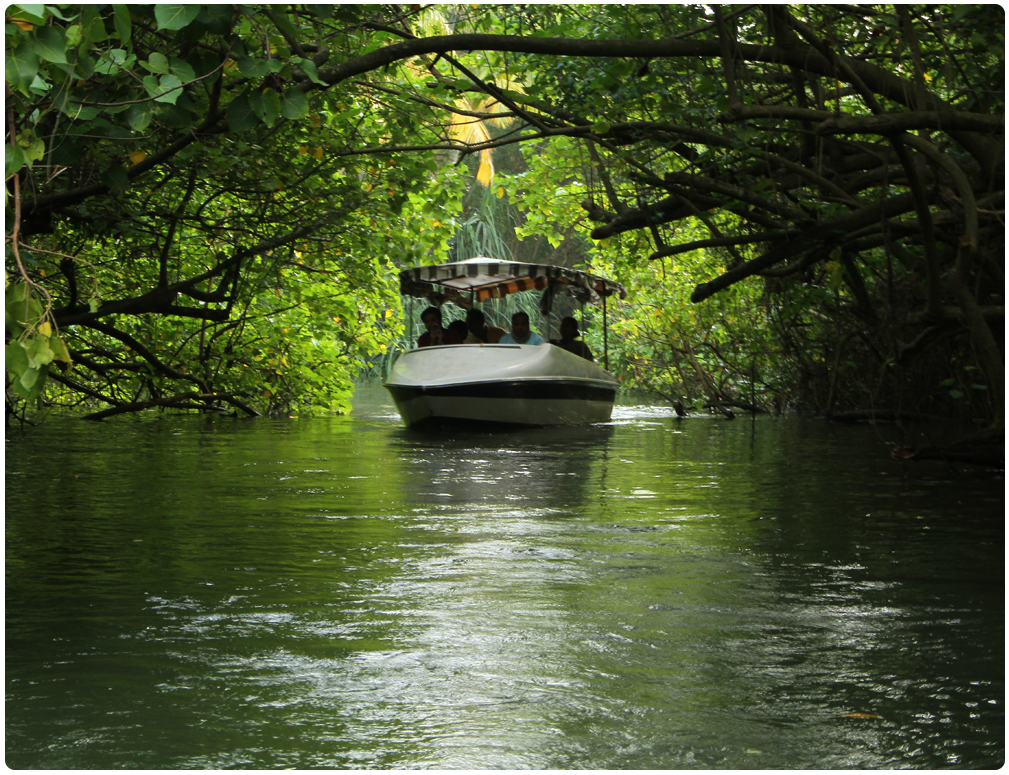 Poovar backwater